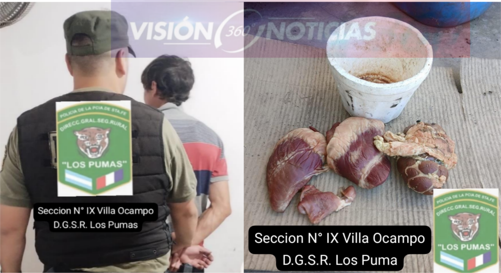 Los Pumas esclarecen un caso de abigeato en zona de isla (San Antonio).